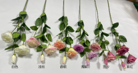 3-Head Eustoma