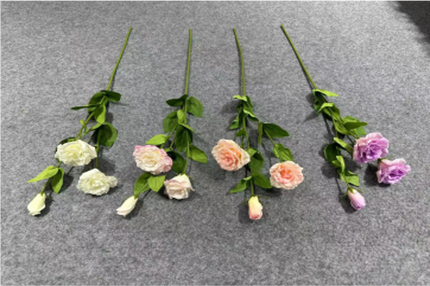3-Head Eustoma