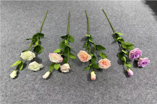 3-Head Eustoma