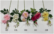 3-Head Jasmine Rose
