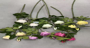 3-Head Round Rose