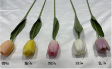 Open Tulip 45cm