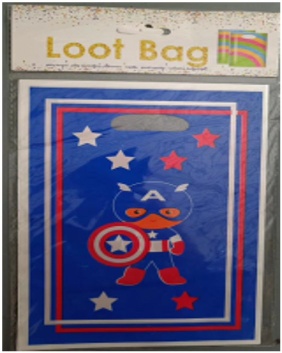 Party Gift Bag(6/pack)