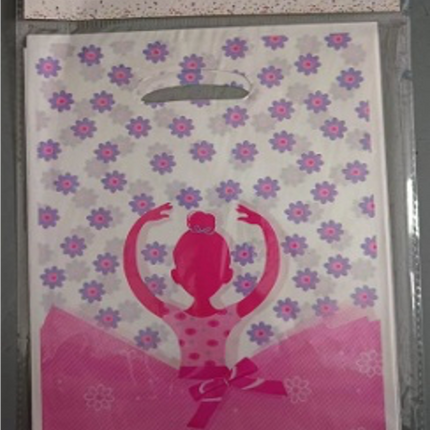 Party Gift Bag(6/pack)