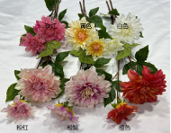 2-Head Dahlia