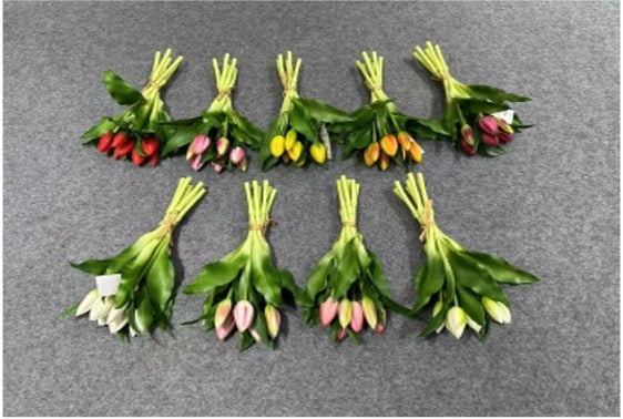 Long Stem 7-Head (7 fruits)