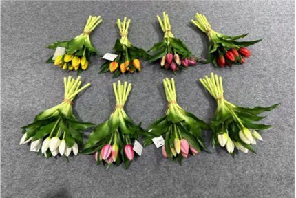 Short Stem 9-Head (9 fruits)