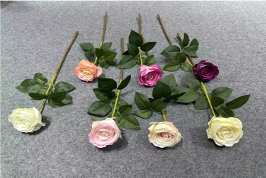 Single-stem Fortune Rose