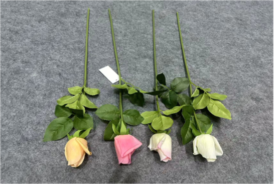 Single-stem Lover Rose
