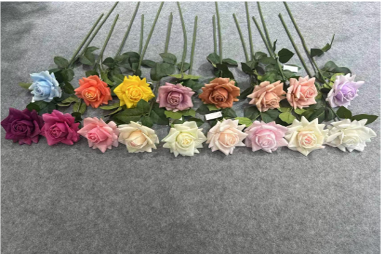 Single-stem Paris Rose