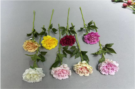 Single-stem Peony