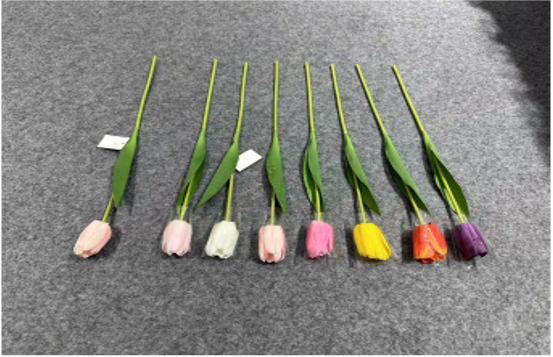 Single-stem Rafi Tulip