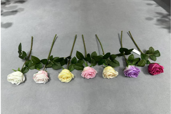 Single-stem Round Rose