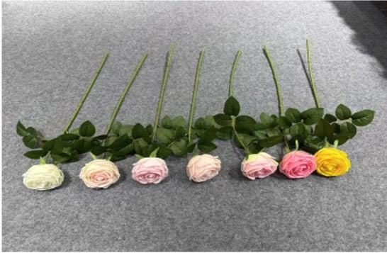 Single-stem Tea Rose